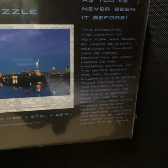 NEW YORK, NEW YORK City Panoramic Puzzle 🧩 750 piece - Picture 3 of 5